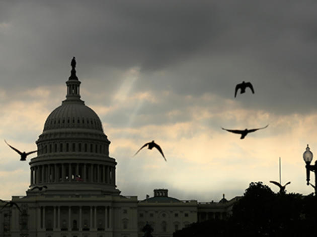 The Bipartisan Partnership Behind the Bird-Safe Building Act