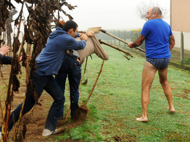 Why Were French Conservationists Attacked by a Pants-less Poacher?