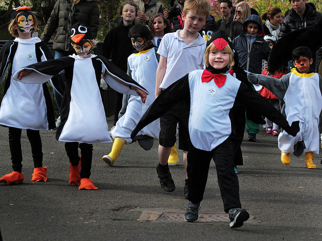 March of the Waddling Toddlers