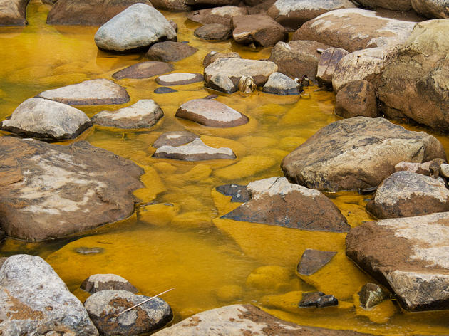No Birdsong Near Abandoned Colorado Mines