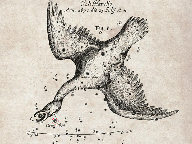 Science (and Swans) in the Stars