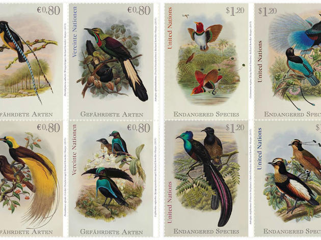 Bird-of-Paradise Stamps, On Sale Now