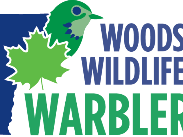 Successful First Year for the Woods, Wildlife, and Warblers Project