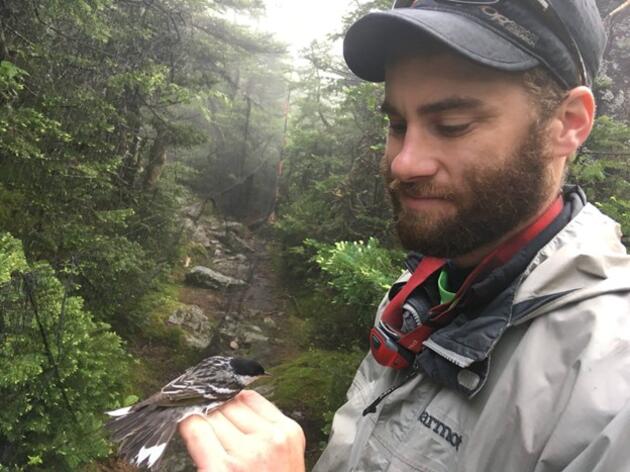 Audubon Vermont Announces New Forest Program Senior Associate