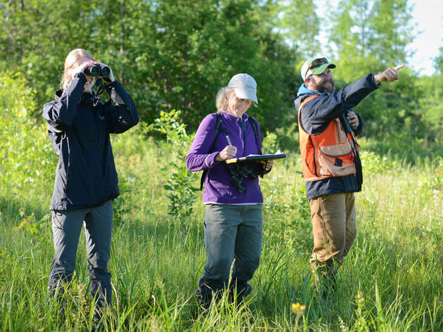 Landowner Assistance - Champlain Valley Bird Initiative