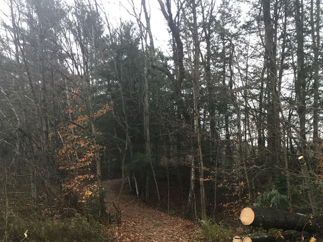 (Most) Trails are Open