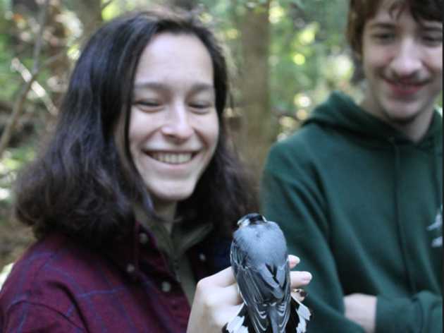 Banding Together for the Birds