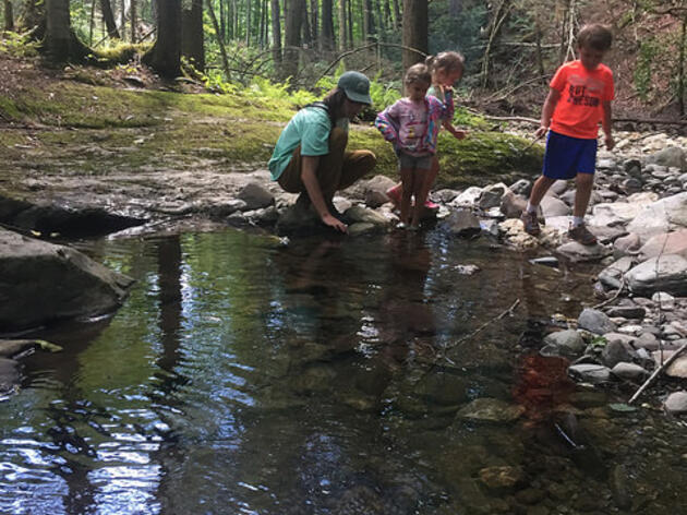 Down by the River: Aquatic Ecosystem Exploration at Audubon Vermont