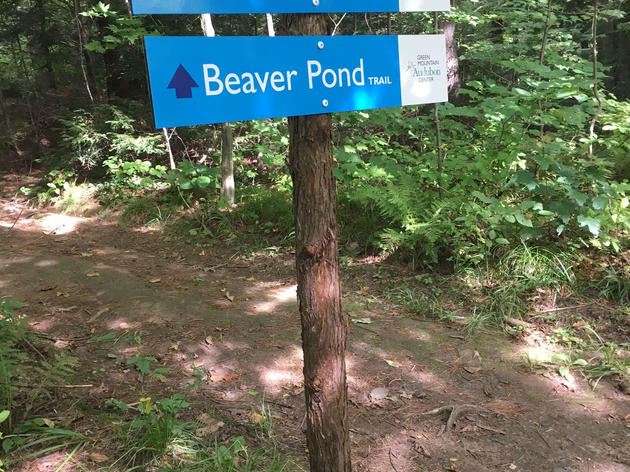 Hemlock Swamp Trail Restored and New Signage Installed at the Green Mountain Audubon Center 