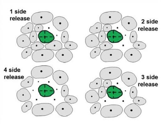 Crop tree release diagram shown from above.