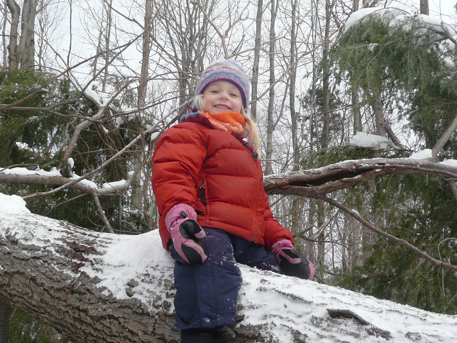 Winter Forest Preschool