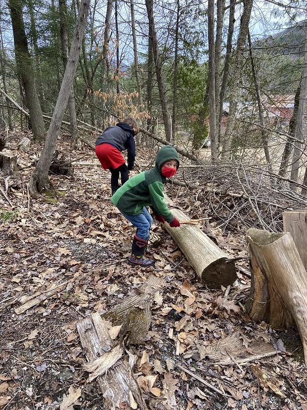 Drumming on logs