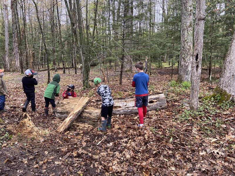 Students chopping up a fallen down tree