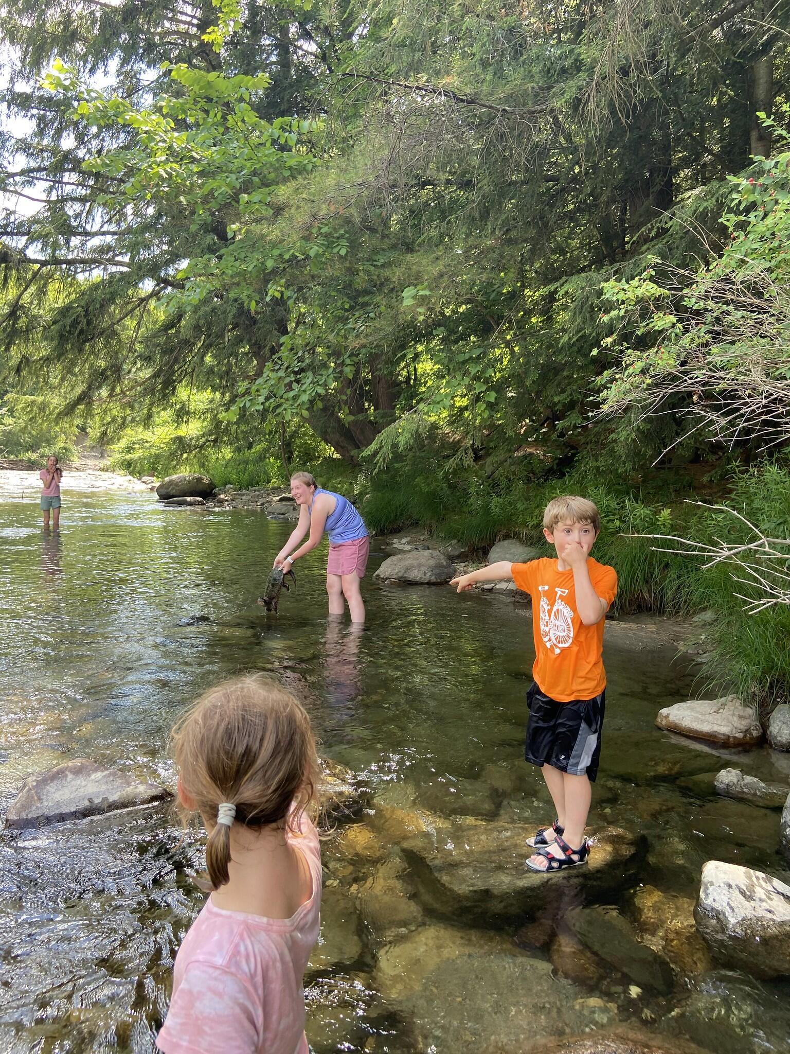 Campers look on and point in astonishment and awe from a safe distance while Naturalist Emily pulls a snapping turtle out of the water