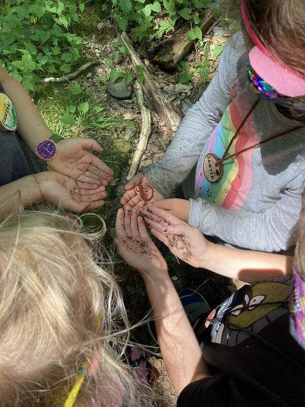 Campers take turns letting a red eft walk across their hands