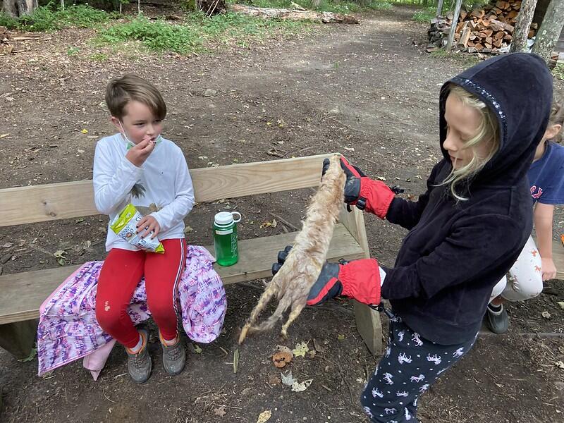 student sharing mink pelt