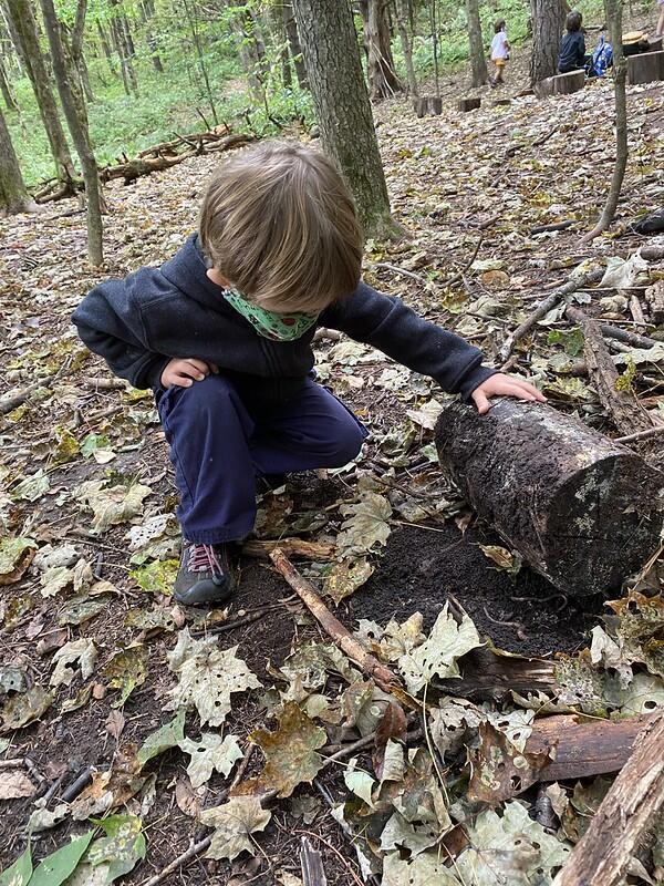 Student Looking under a log