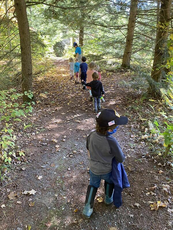 Students Hike in woods Students Hike in woods