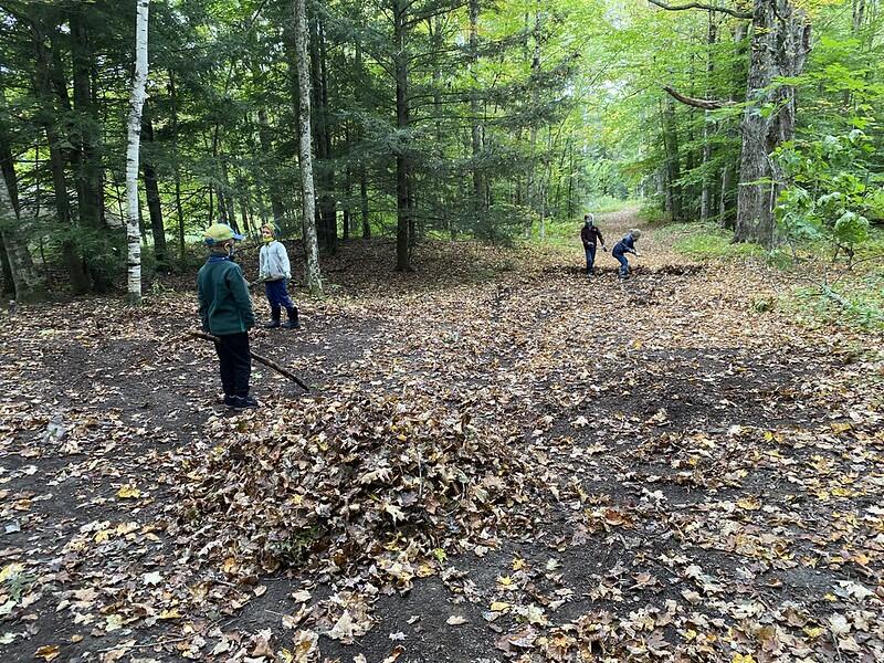 Students building leaf walls and piles