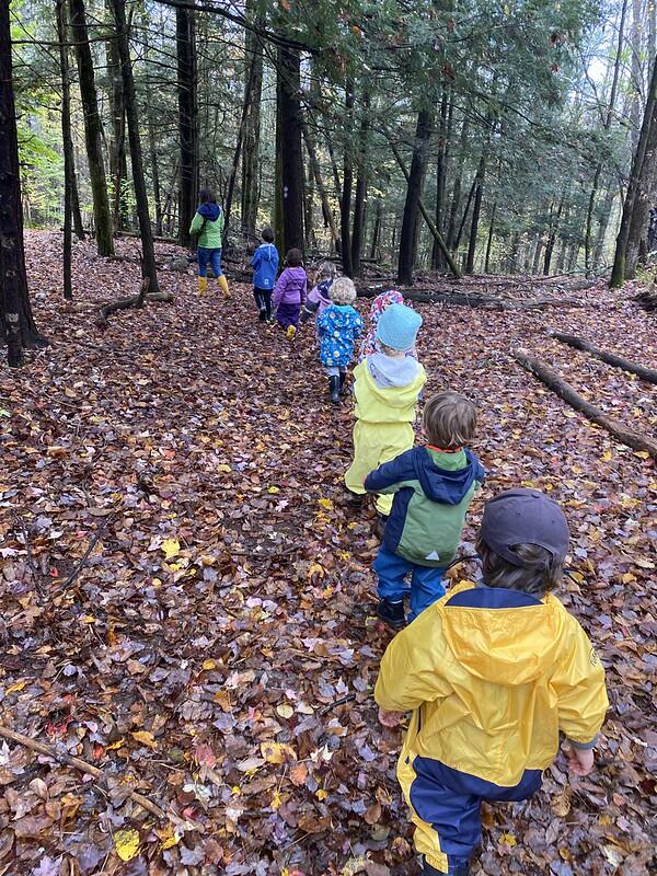 Students hike to mossy rocks