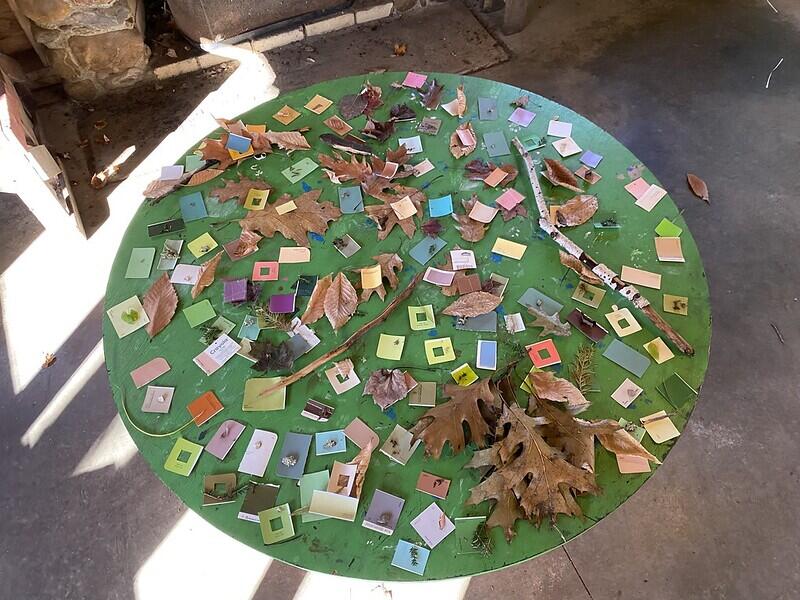 Table full of colors and nature items