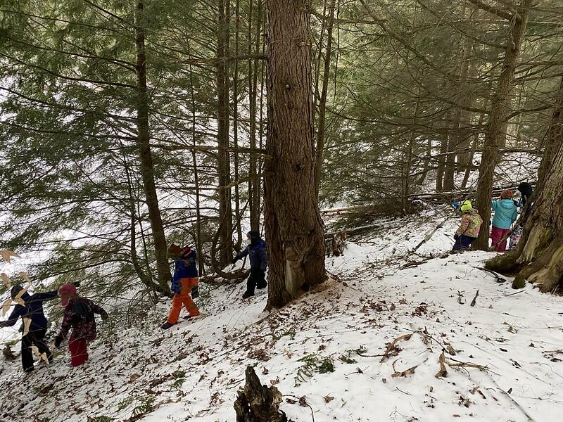 Students hike down to Beaver Pond