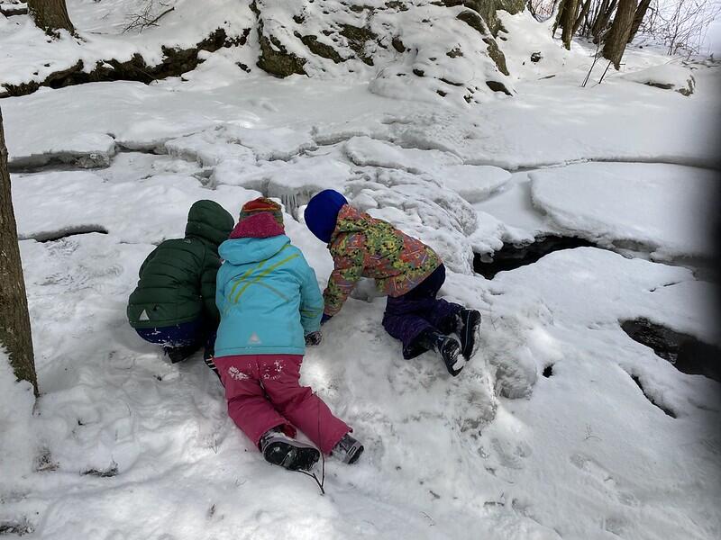 Students looking at the icy Brook