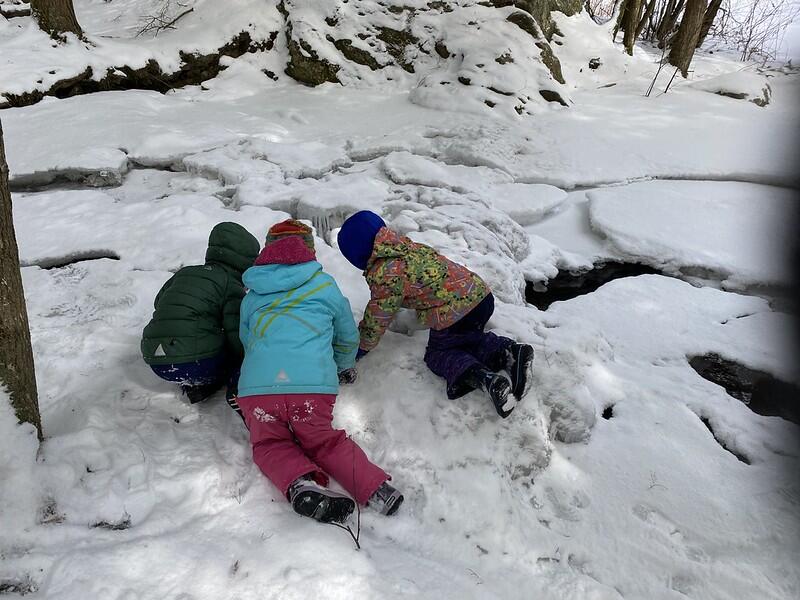 Students looking at the icy Brook Students looking at the icy Brook