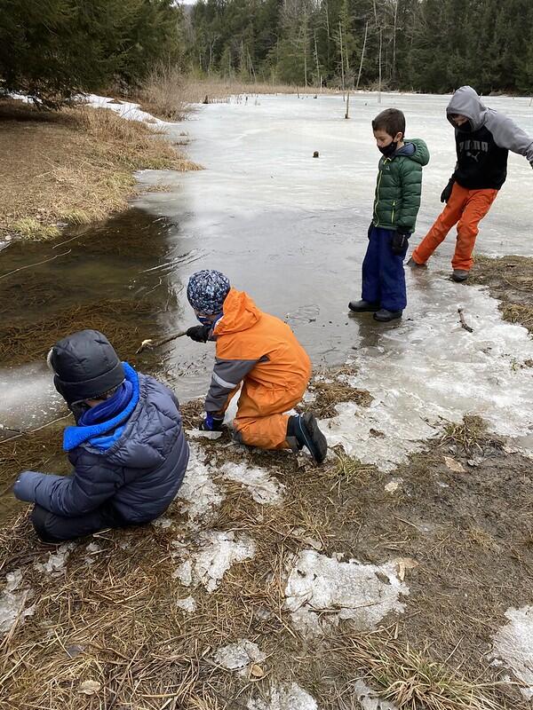 Students lined up looking at the pond