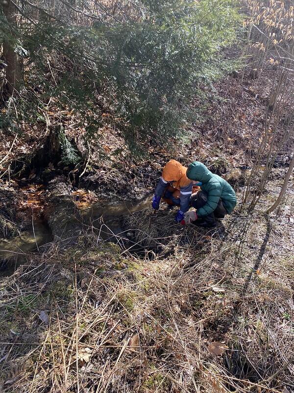 Students building a dam