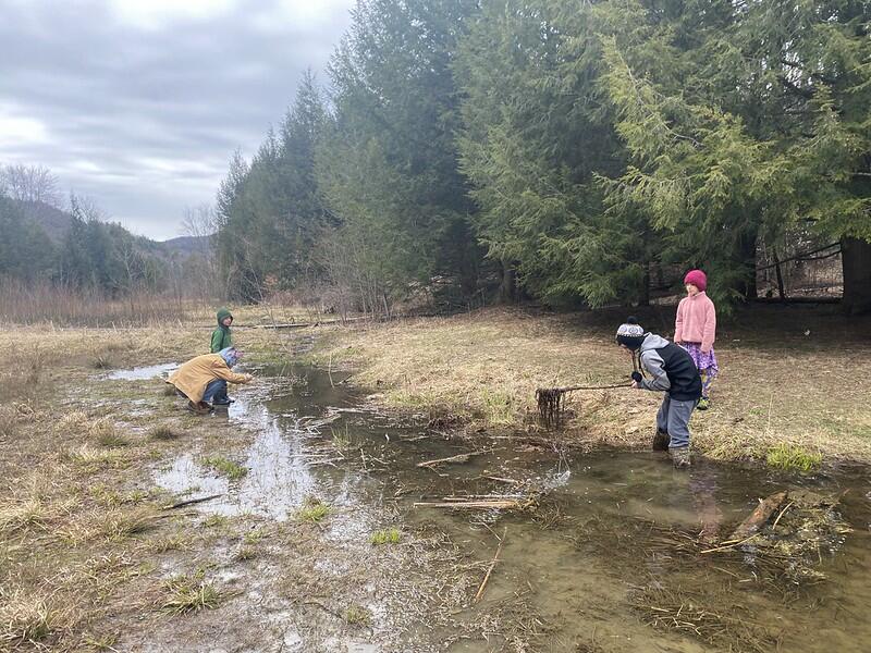 students at Beaver pond