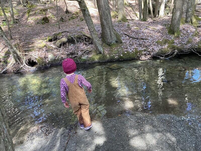 student looking out at brook for her stick