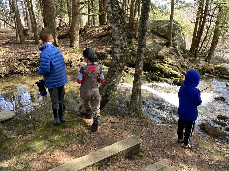 students observing the Brook