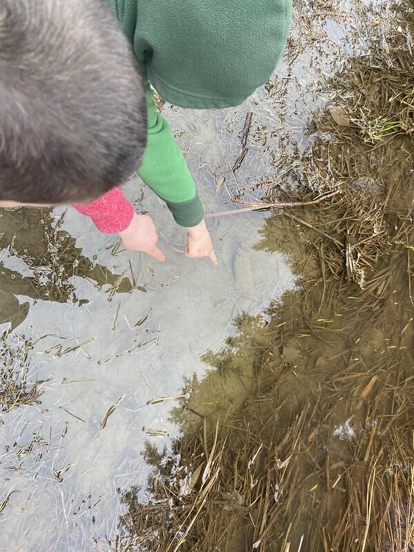 students pointing at Newt in beaver pond