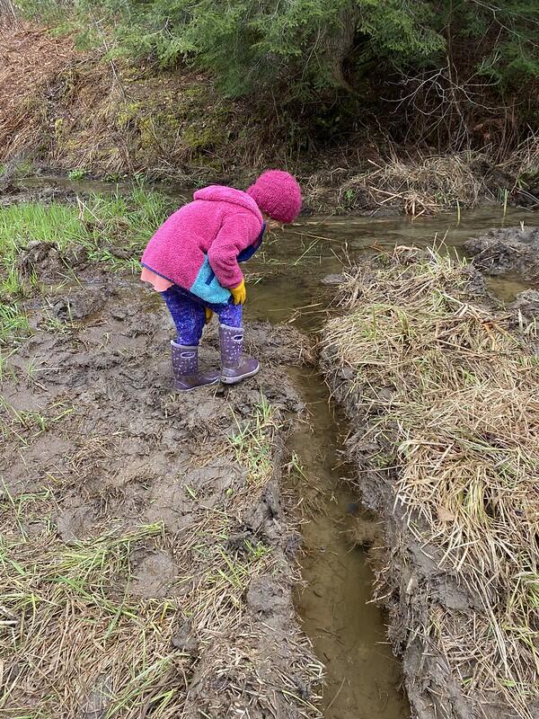 Student looking for Newts