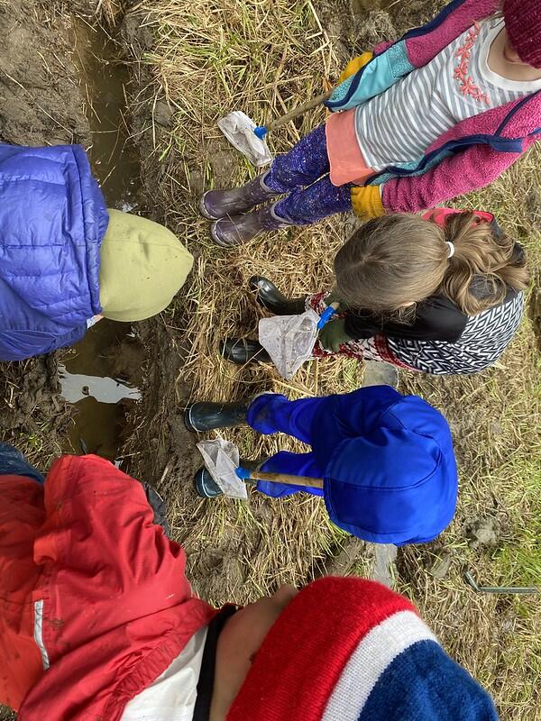 looking in the pond area for critters