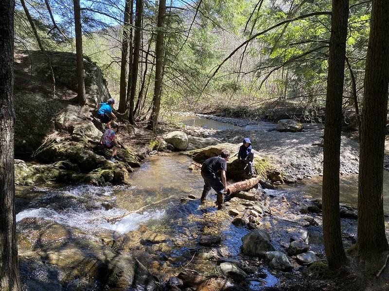 Student building dam across the brook