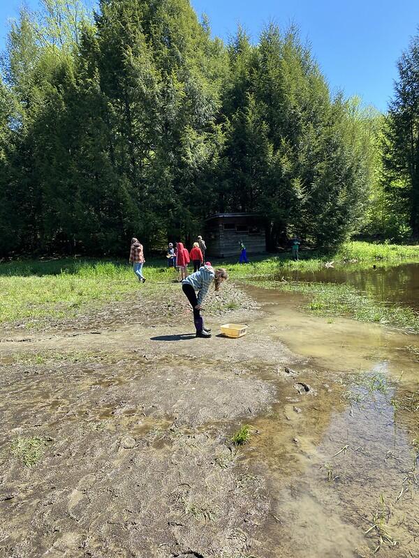 Students scoping out the pond