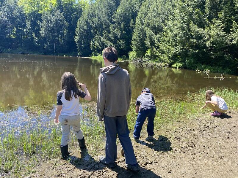 students at the pond catching critters