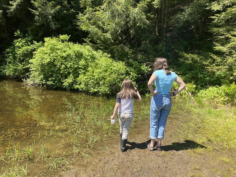 exploring the pond