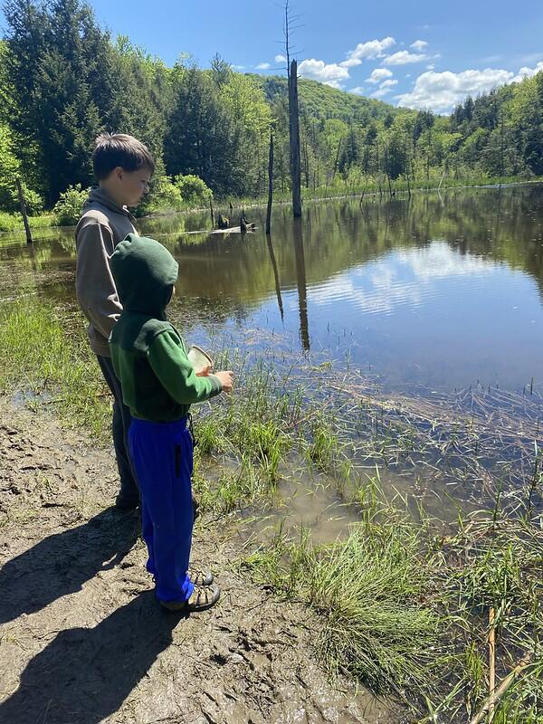 students looking out at the pond