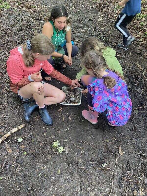 Campers building a fire