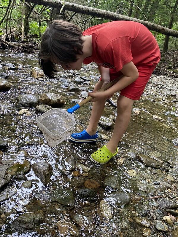 Student catching critters in Brook
