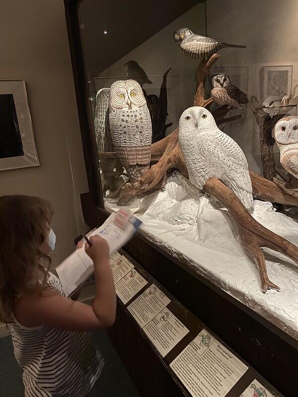 Student looking at carved owl Student looking at carved owl