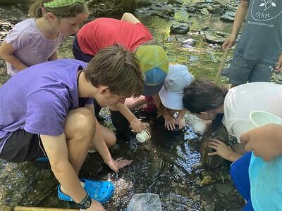 Campers exploring the Brook