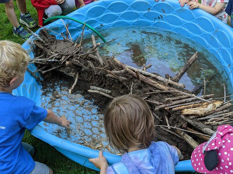 Handmade beaver dam