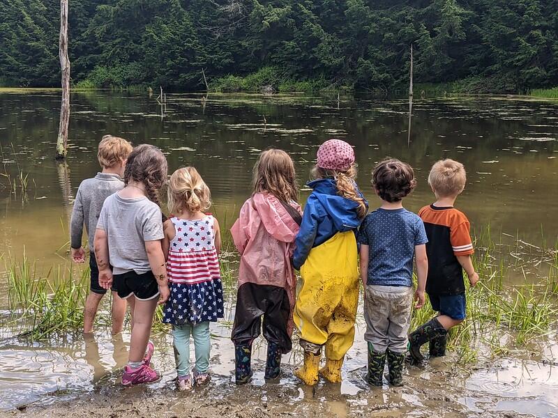 Campers looking out at beaver pond