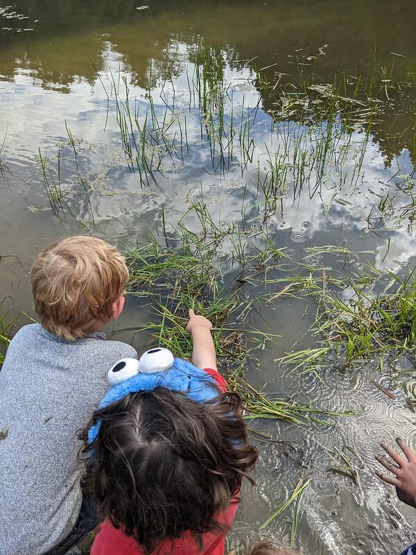 Two campers looking into beaver pond