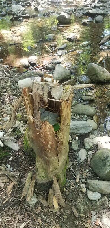 Brook nature art with rocks and wood