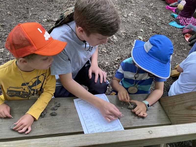 campers dissecting their owl pellets